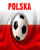/album/fotbal/fotbal-036-gif/